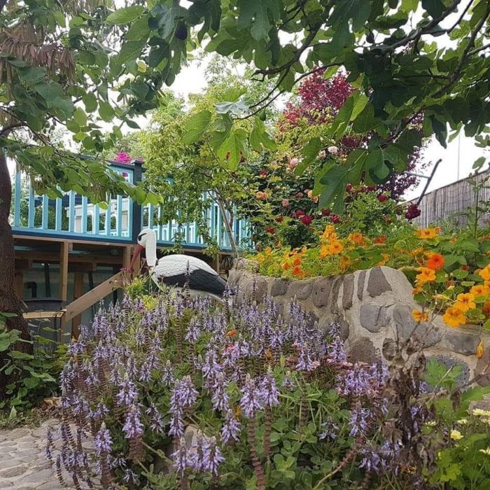 כליל החופש חדר