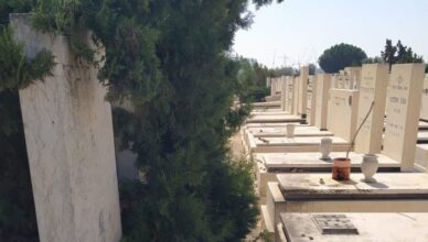 מידע נוסף על קבר