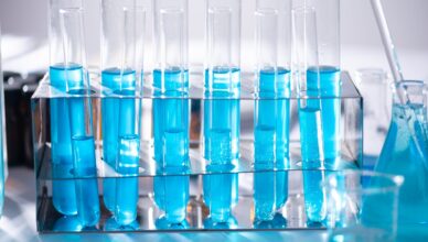 אתר צפייה בציפורים - בריכות דגים מעיין צבי