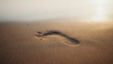 מידע נוסף על חוף