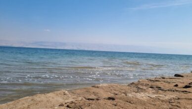 חוף נווה מדבר ים המלח